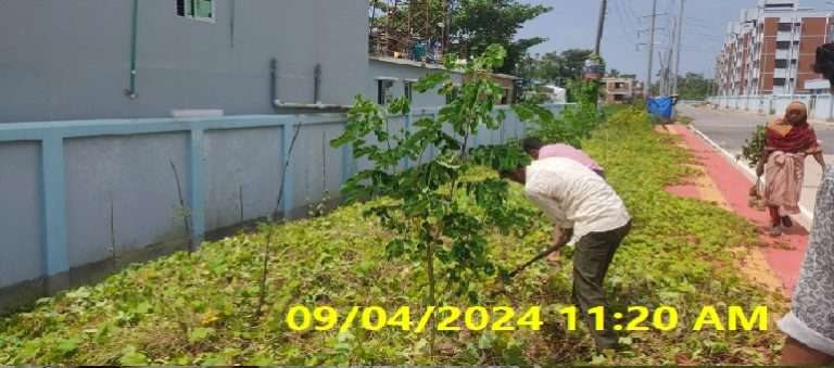 Tree plantation maintenance activities at Coxs Bazar staff quarter